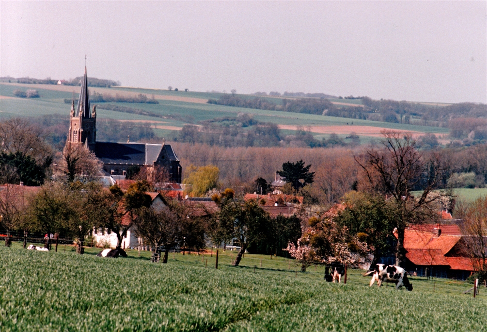 Card image cap