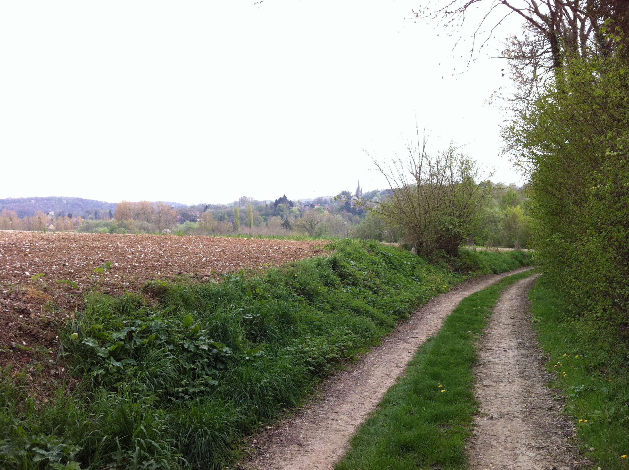 chemin larris