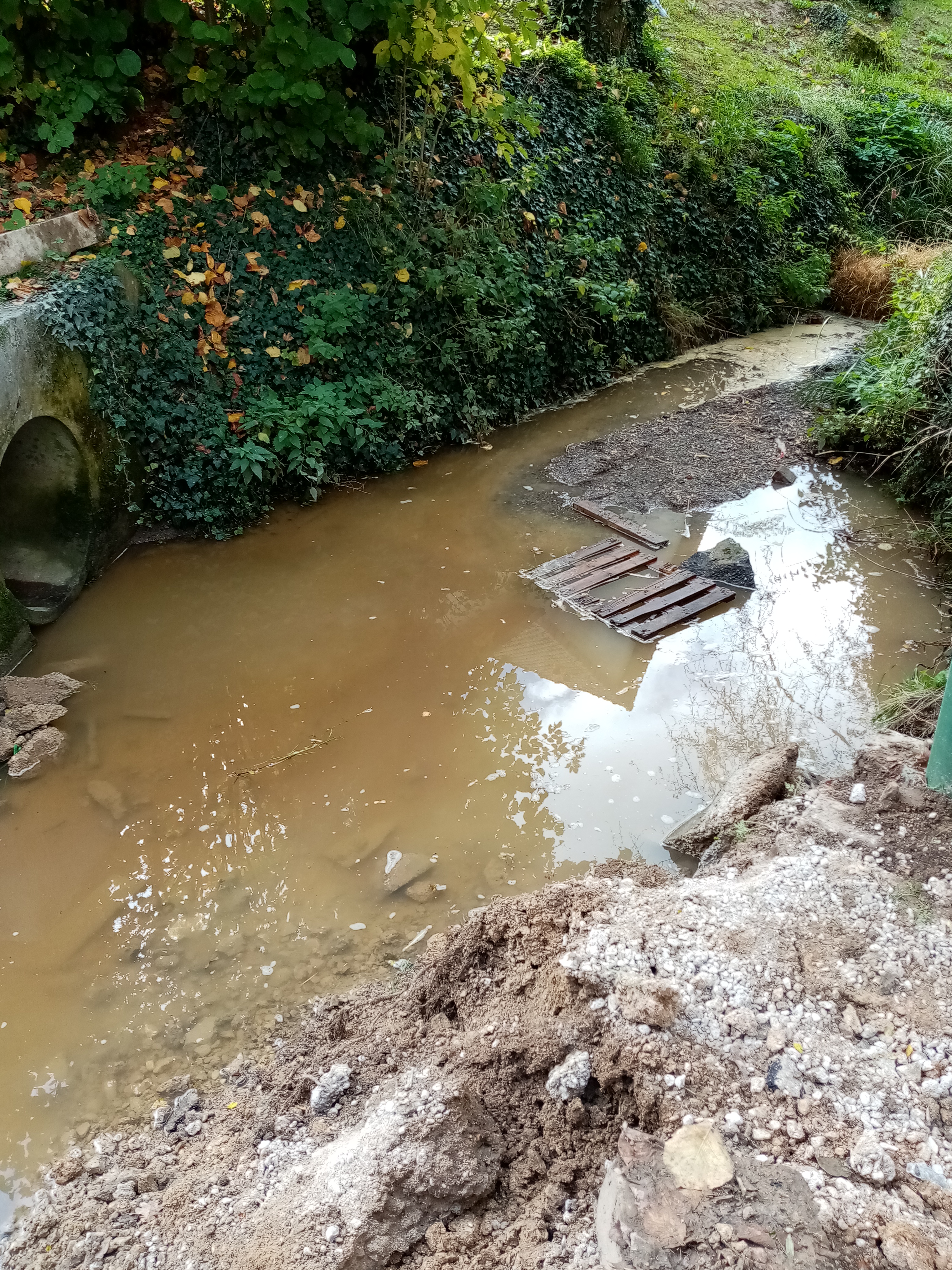 chantier pont havernas